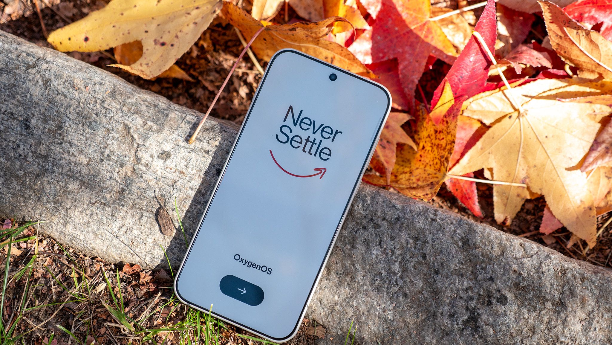 Reference image for: The OnePlus 16 might be the closest we've come to a bezel-free phone