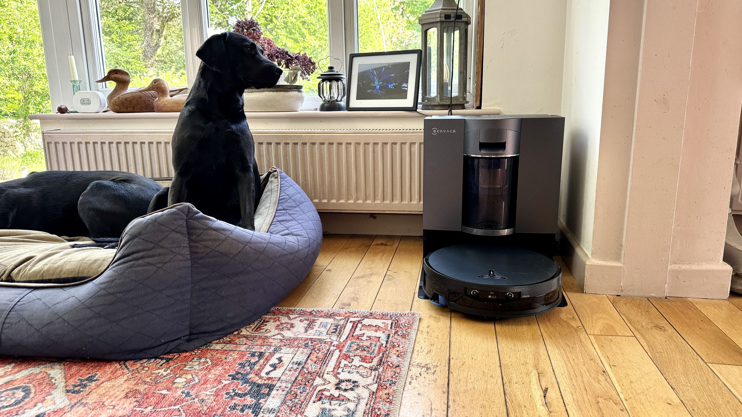 Reference image for: The Ecovacs Deebot X12 OmniCyclone is an impressively inventive robot cleaner that mops very well, but to up