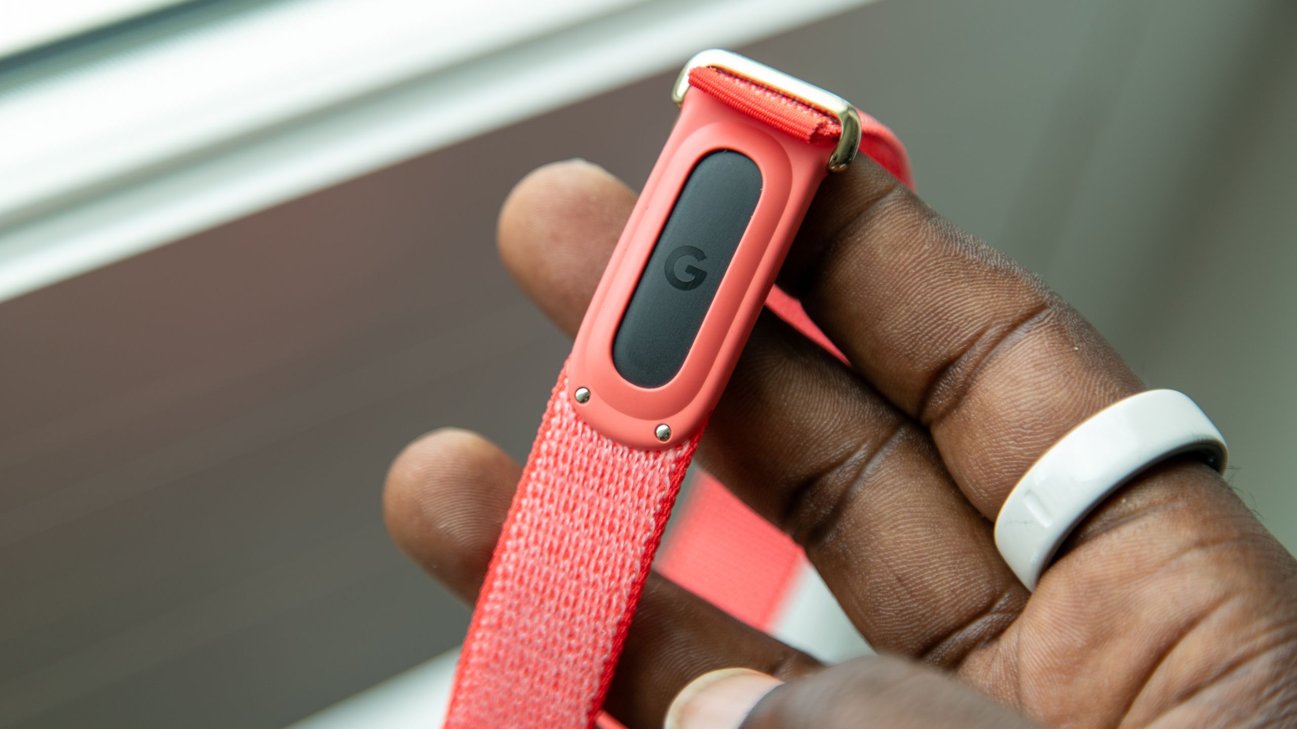 Reference image for: These are the best Fitbit Air bands available at the moment: why this signal is getting harder to ignore