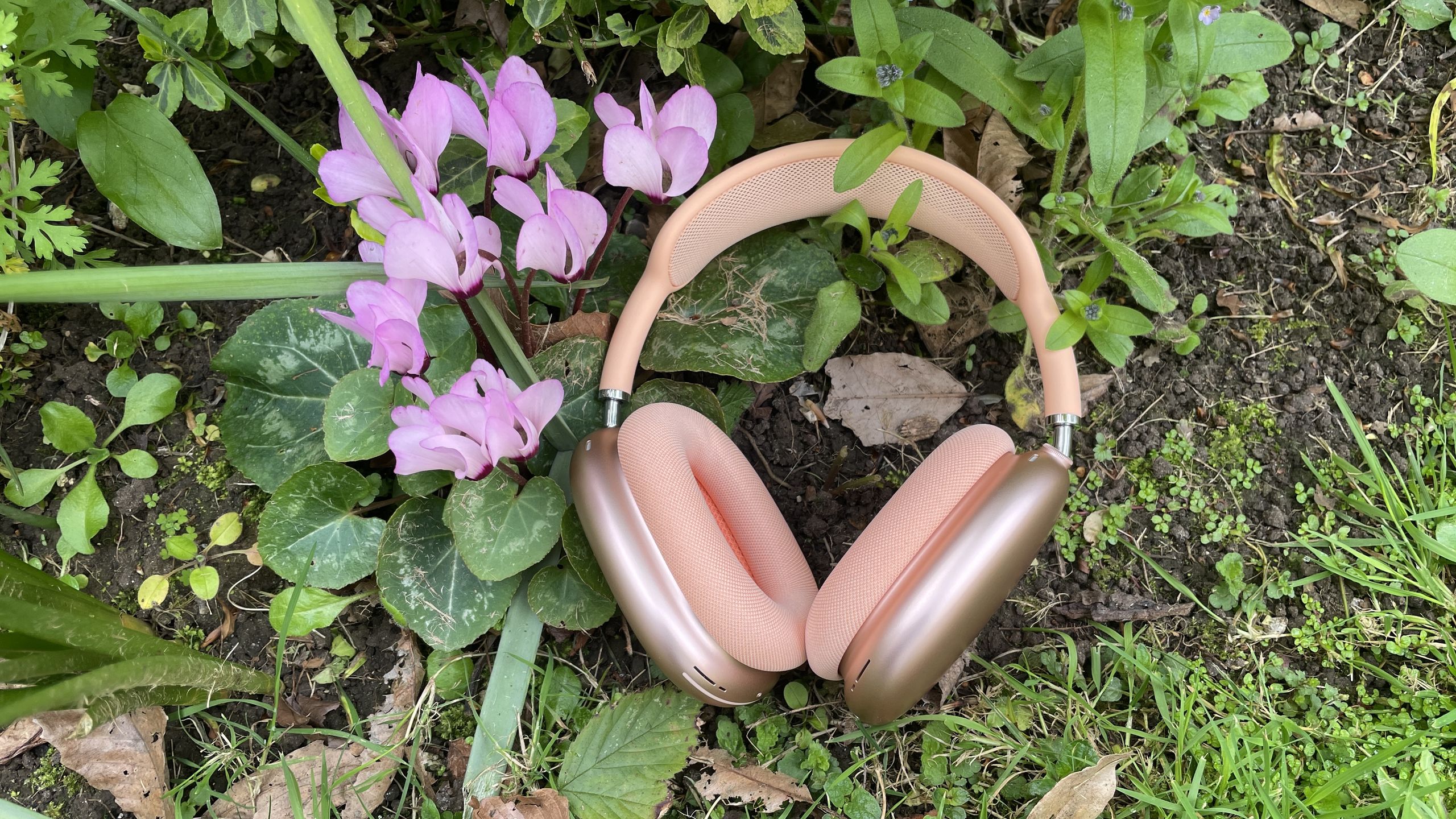 Reference image for: 'Doubtless the best noise-cancelling iPhone headphones on the planet': I tested AirPods Max 2 and they are