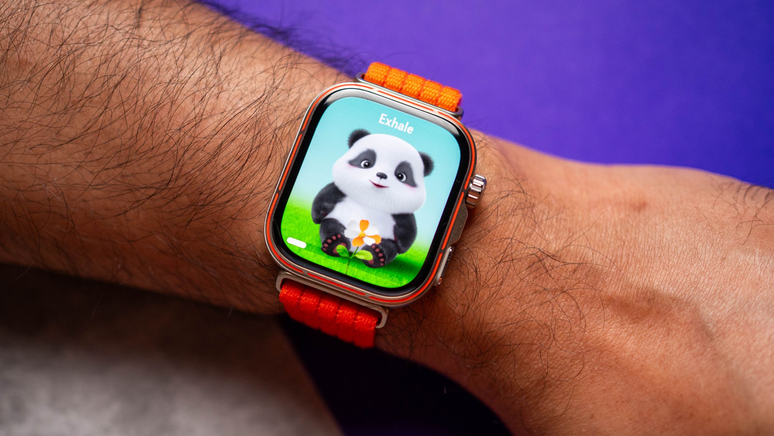 Reference image for: Five reasons the Huawei Watch Fit 5 Pro is my go-to smartwatch: why this signal is getting harder to ignore