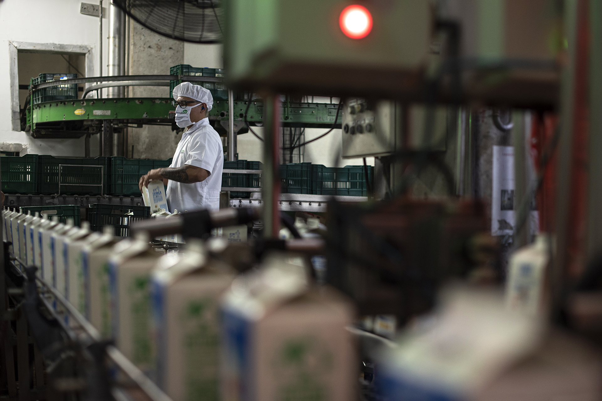 Reference image for: Costa Rican dairy cooperative turns AI agents into coworkers