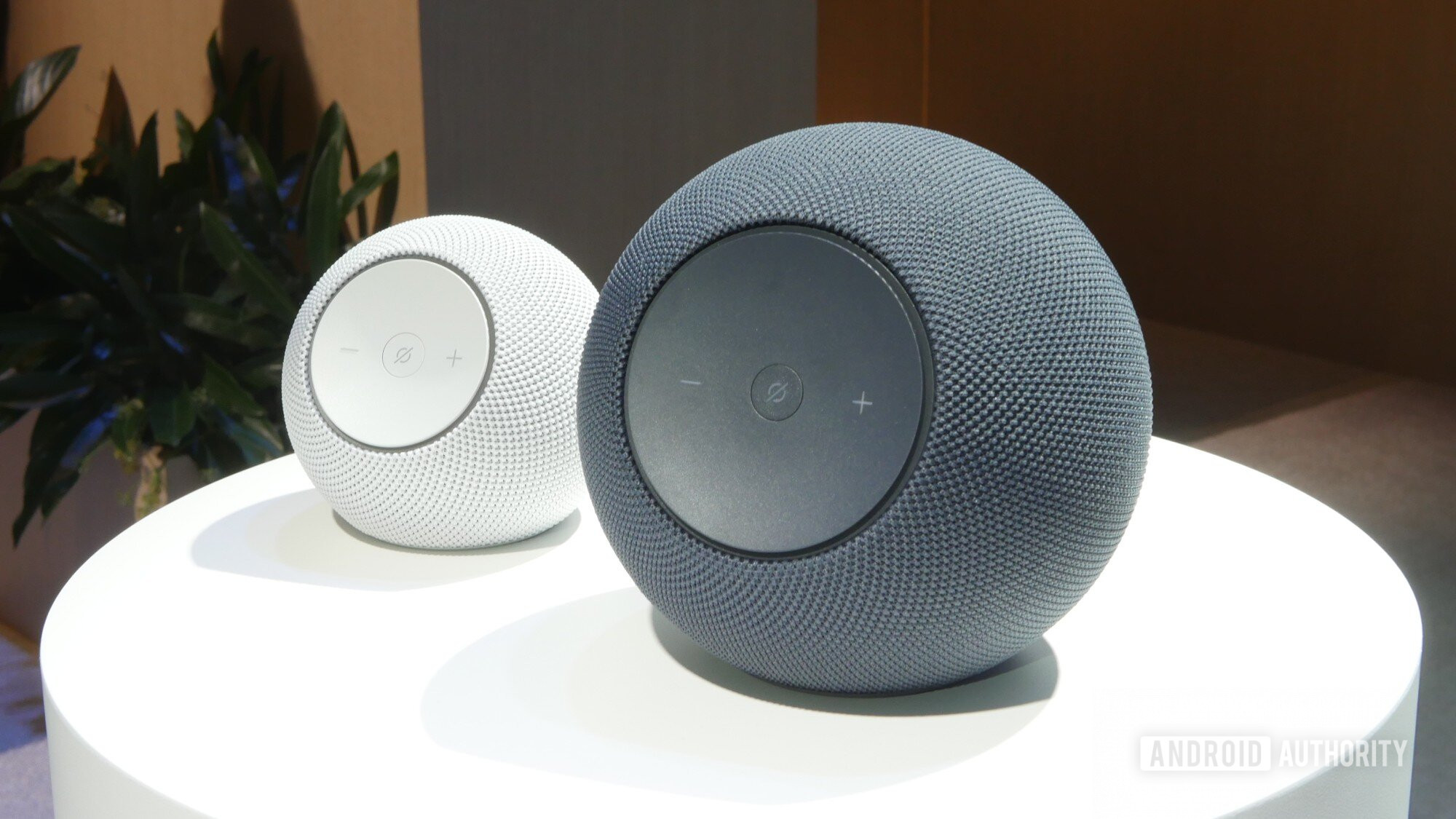 Reference image for: Alexa no longer sounds possessed, as Amazon fixes bizarre noises