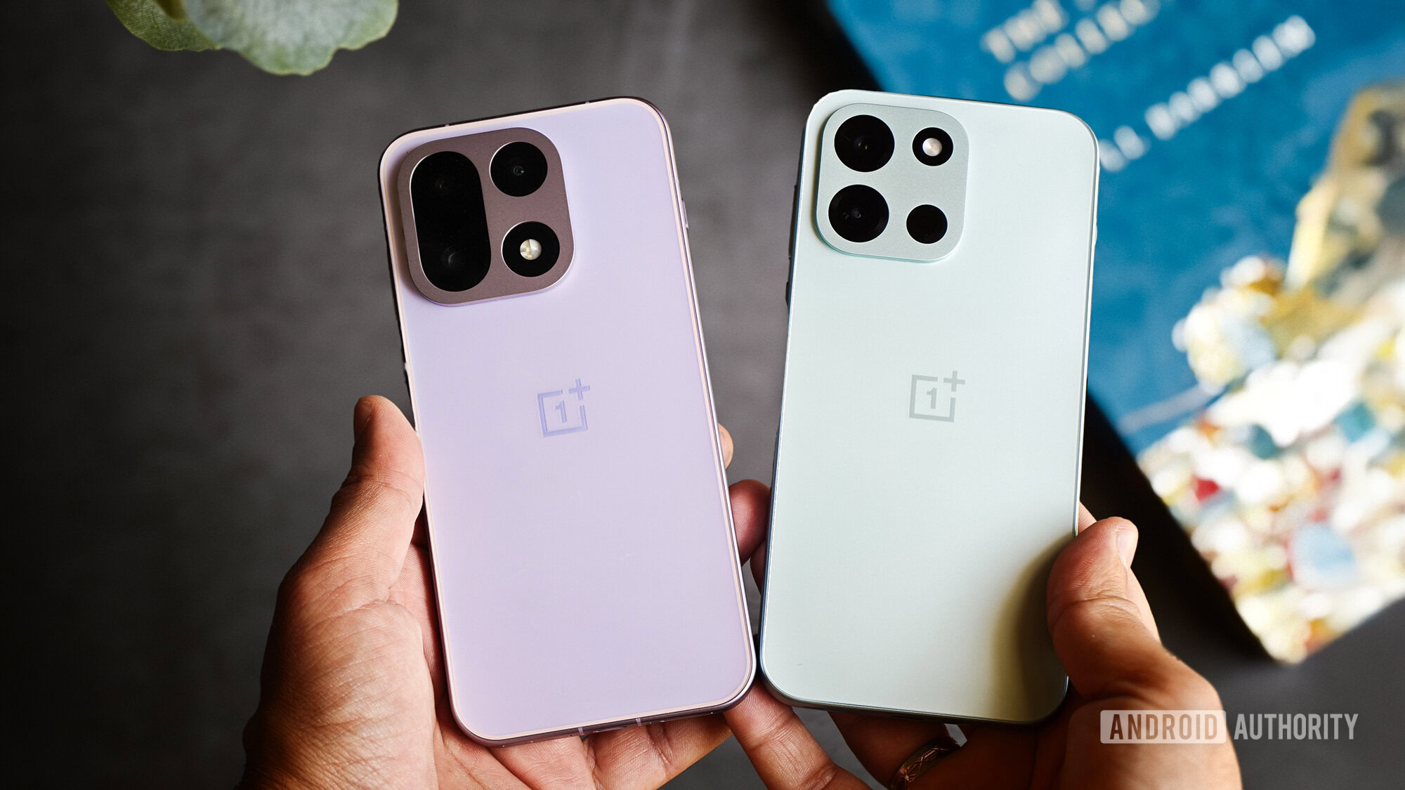Reference image for: OnePlus may be pulling back from yet another major market, and it’s a big one