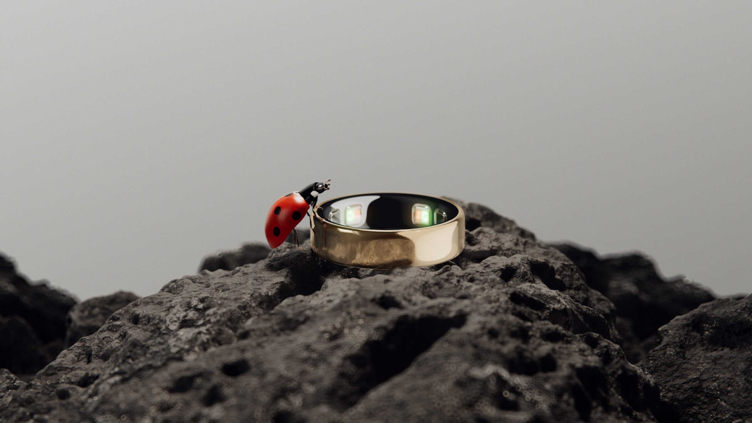 Reference image for: Oura’s newest smart ring is tiny on the finger but big on impact